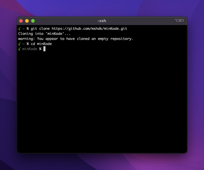 Github new repo